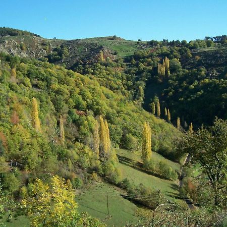 Gîte de Chapelèche Les Châtaigniers Gluiras Esterno foto