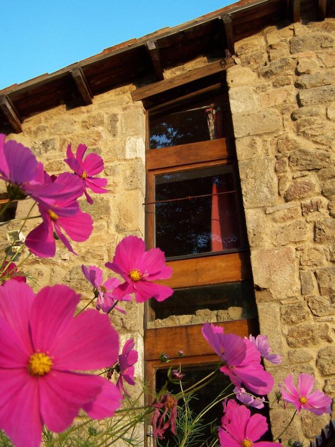 Gîte de Chapelèche Les Châtaigniers Gluiras Esterno foto