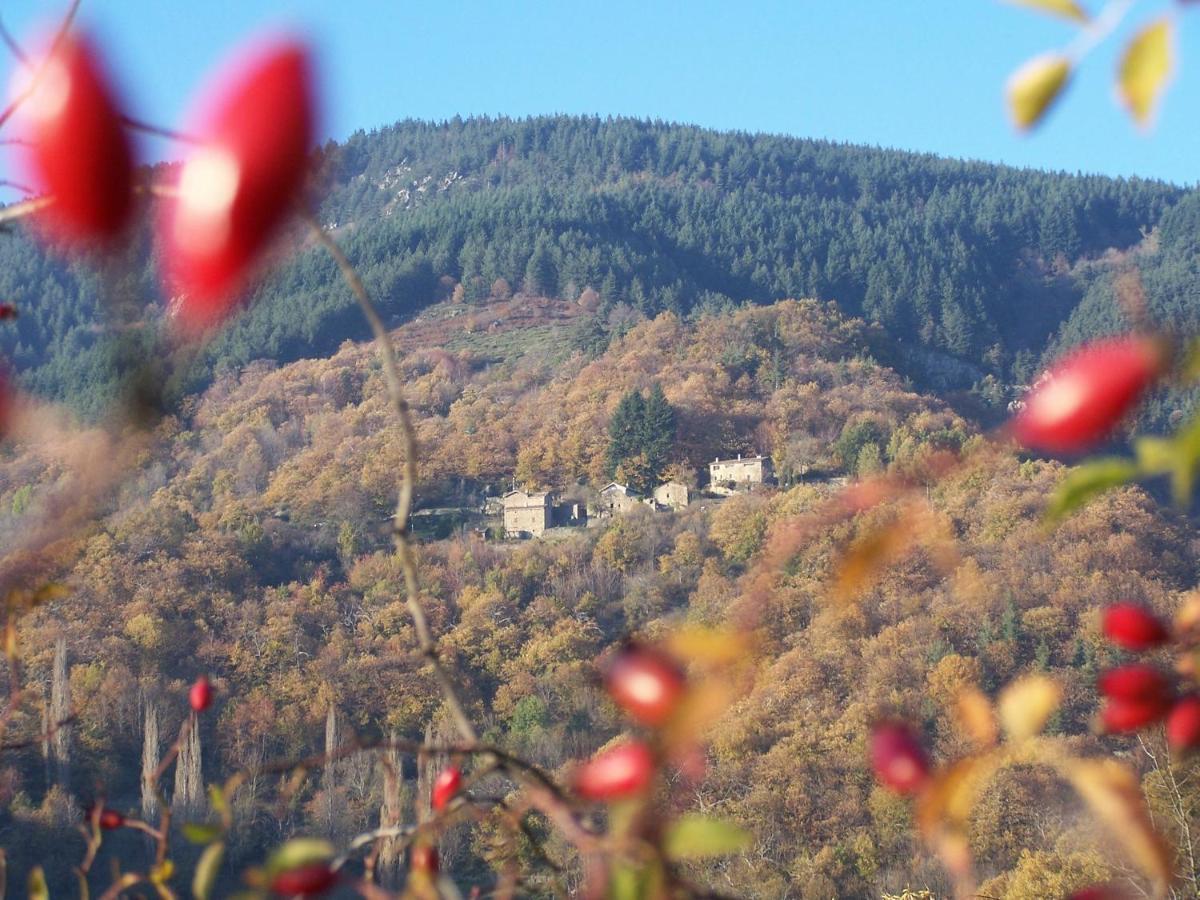 Gîte de Chapelèche Les Châtaigniers Gluiras Esterno foto