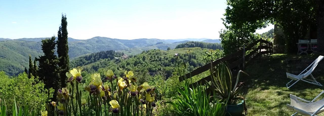 Gîte de Chapelèche Les Châtaigniers Gluiras Esterno foto