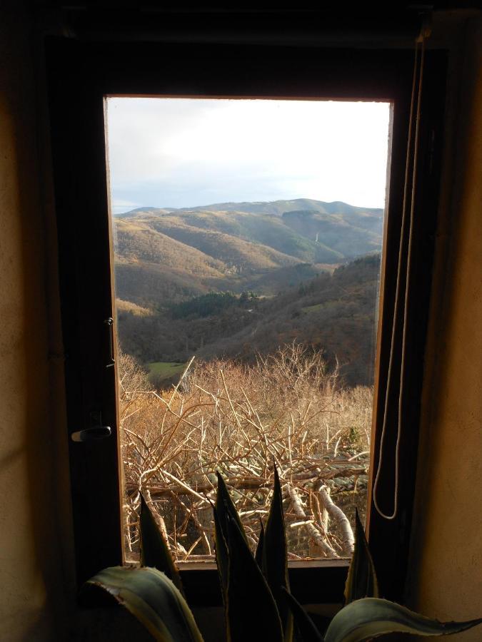 Gîte de Chapelèche Les Châtaigniers Gluiras Esterno foto